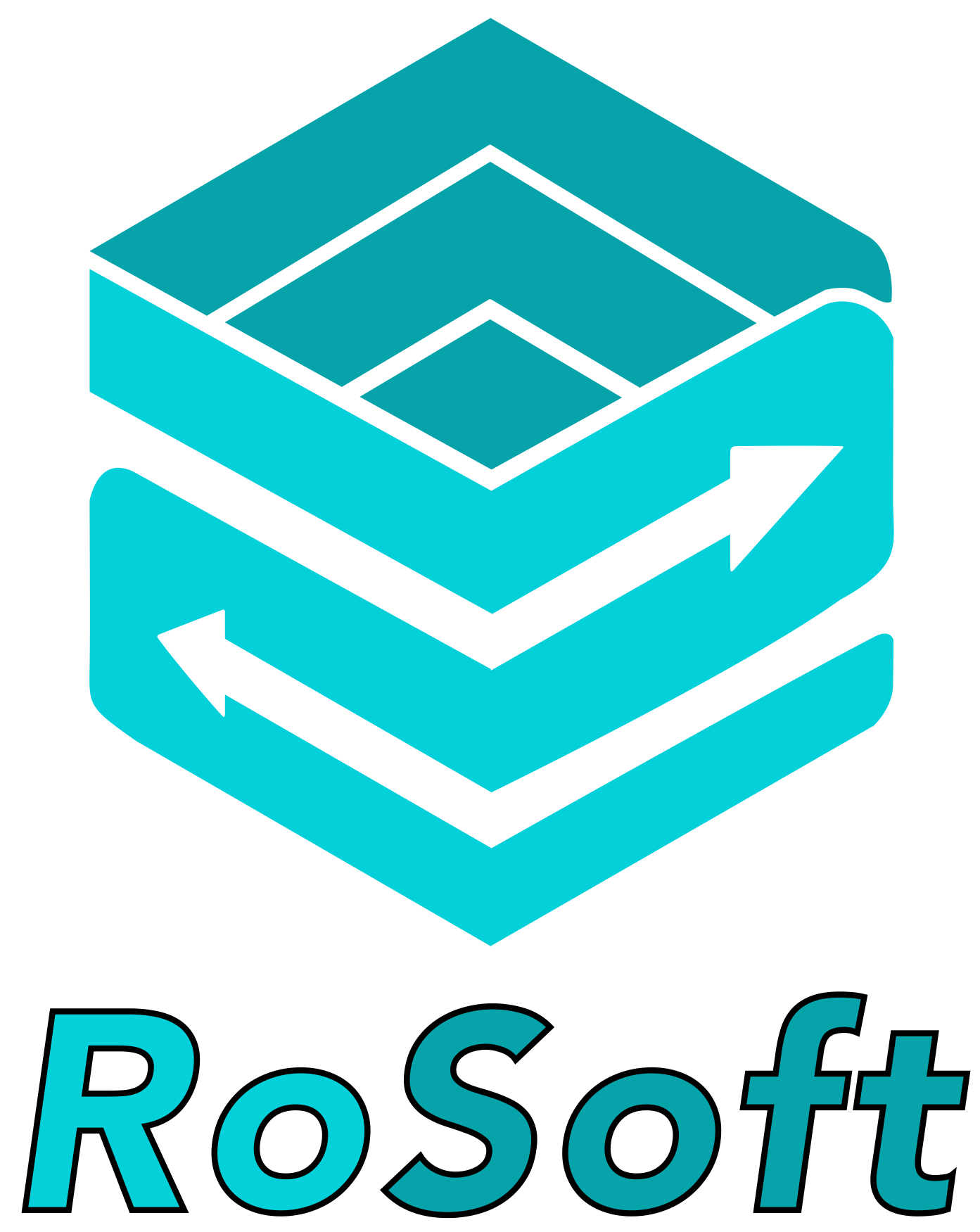 Logo RoSoft